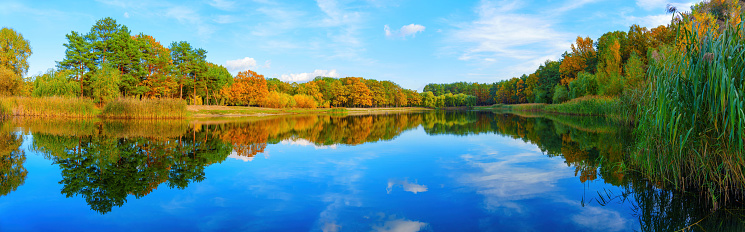 Panoramic view of a lake nestled in the heart of an autumn forest, set against a backdrop of clear blue skies.