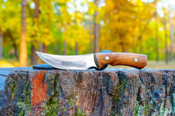 istock Hunting Knife on a Tree Stump in the Woods 1823028526