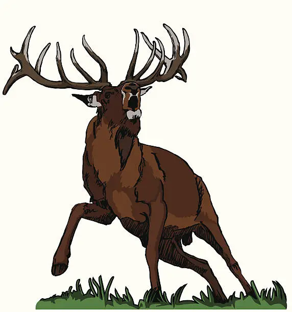 Vector illustration of deer red