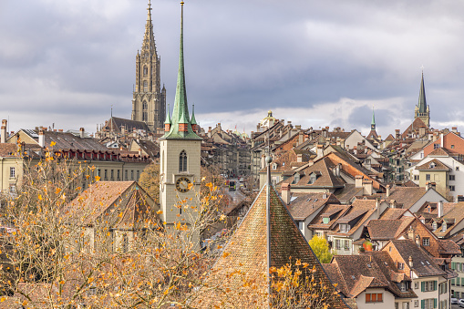 Germany, Freiburg im breisgau city skyline of historical old town and muenster church building from above panorama landscape view