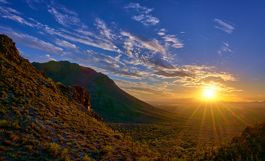 Experience the serene beauty of a late fall sunset casting golden light over the cacti-studded desert of Gates Pass in Tucson, Arizona