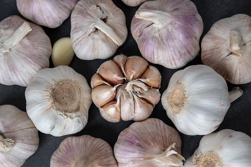 Big head of garlic on black background