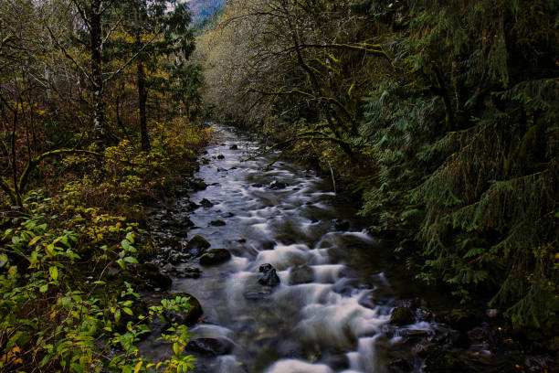 mountain stream winding through rock covered river in Washington North Cascades mountains