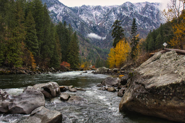 rapides d’eau vive à travers une rivière couverte de roches dans l’état de washington avec la chaîne de montagnes north cascades en arrière-plan avec un feuillage d’automne - north cascades national park cascade range river waterfall photos et images de collection