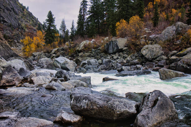 rapides d’eau vive à travers une rivière couverte de roches dans les montagnes des cascades du nord de l’état de washington - north cascades national park cascade range river waterfall photos et images de collection