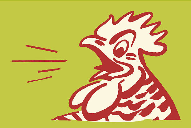 comb - домашние куры stock illustrations