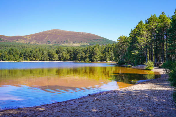 loch morlich et glenmore dans les highlands écossais - monts cairngorm photos et images de collection