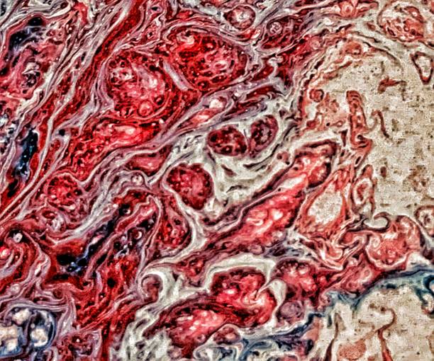 istock Abstract texture of magnification biological cell for abstract background 1823131379