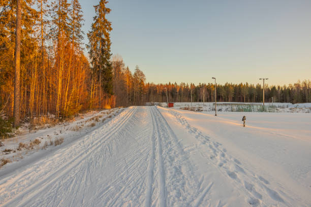 vue panoramique de la forêt d’hiver au coucher du soleil avec piste de ski pour le ski de fond. suède. - scandinavian cross country ski ski nordic countries photos et images de collection