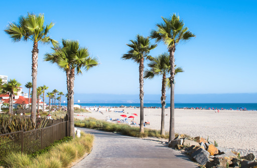 Beach and Palm Trees in San Diego, Southern California Coast, USA