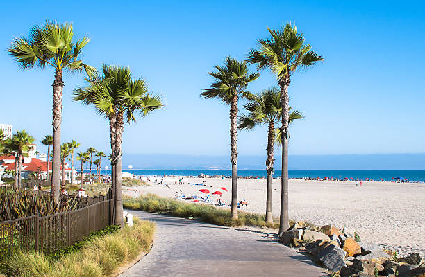 Beach and Palm Trees in San Diego, California Coast, USA Beach and Palm Trees in San Diego, Southern California Coast, USA boardwalk stock pictures, royalty-free photos & images