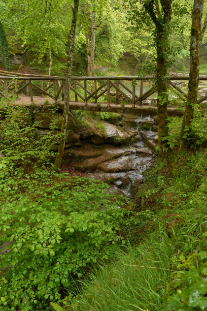 istock Rural roads in the forest 1823152889