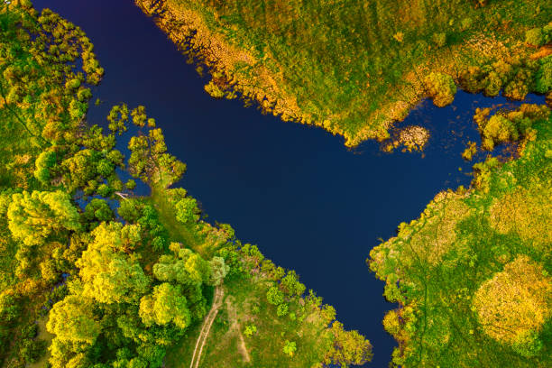 istock Lake in the meadows 1823160308