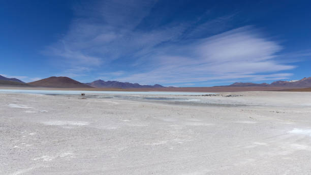 istock Bolivia, AVAROA NATIONAL PARK, desert, wide frame. 1823187184