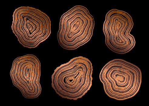 Game Tree Rings Texture Set Of Golden Tree Ring Textures Stock Illustration - Download Image ...