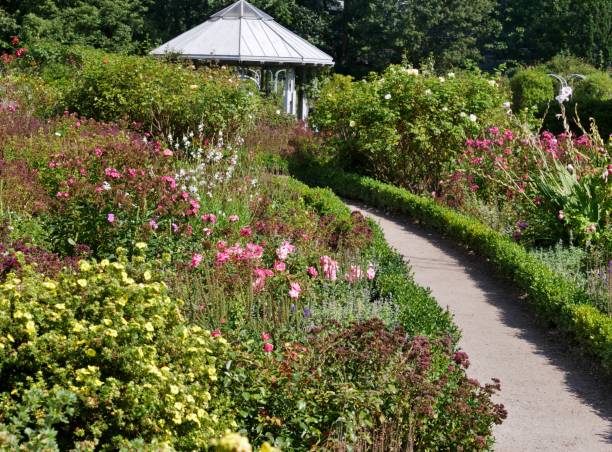 way through planten un blomen hamburg - blomen imagens e fotografias de stock