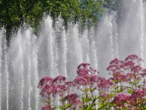 fountain in planten un blomen - blomen imagens e fotografias de stock