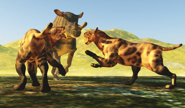 istock Saber-toothed Cats attack Brontotherium 1823250739