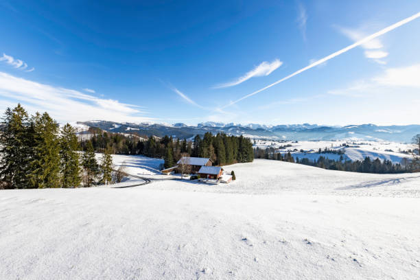 istock Early Winter, First Snow near Einsiedeln, Central Switzerland 1823253423