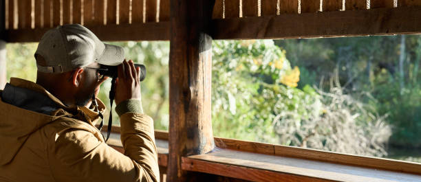 istock Young man looking through binoculars from inside of a wildlife blind 1823311458