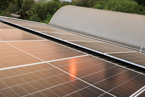 Solar Panels Farm with sunlight reflecting. Solar cells Renewable Green Alternative Energy Concept