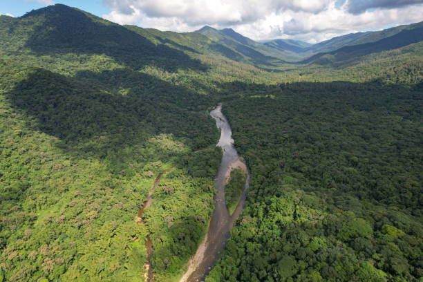 Aerial view of the Cubatão River in the state of São Paulo/Brazil. Atlantic forest and environmental preservation area. cubatão stock pictures, royalty-free photos & images