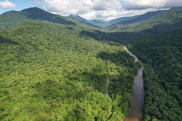 Aerial view of the Cubatão River in the state of São Paulo/Brazil. Atlantic forest and environmental preservation area. cubatão stock pictures, royalty-free photos & images