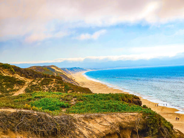 istock Looking Down the Beach off the California Coast 1823378723