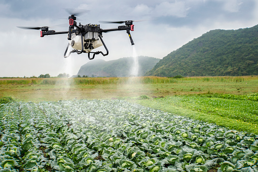 An industrial drone on green field. sprays useful pesticides to increase productivity and destroy harmful insects. increase productivity. Modern technologies in agriculture