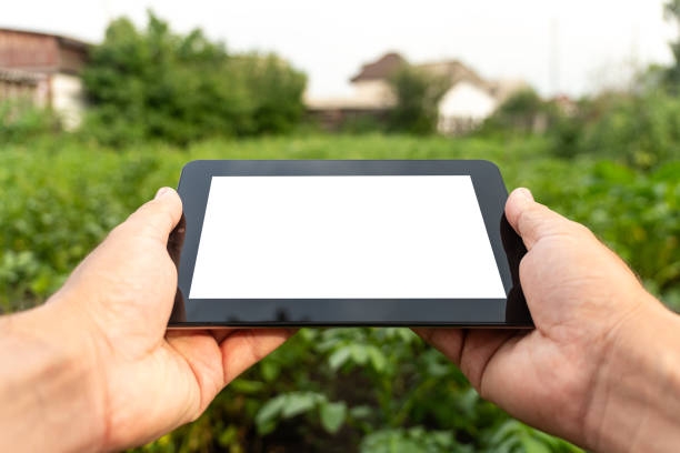 istock Agronomist Using a empty screen of Tablet in an agriculture Field with copy space agriculture technology concept. 1823399632