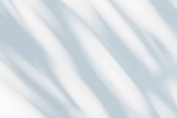 istock Abstract natural tree leaves shadow on white wall background 1823405517