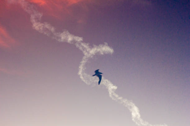 istock Morning Rocket Launch, August 4, 2022 Cape Canaveral, Florida 1823411921
