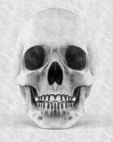 Skull.Classical draw. Imitation of hand drawing. In creating the image is not used plug-ins. This is rendered image.