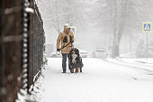 Owner wearing a yellow winter jacket is walking with a Bernese mountain dog on the street near a fence in the snowy weather. Dog walking.
