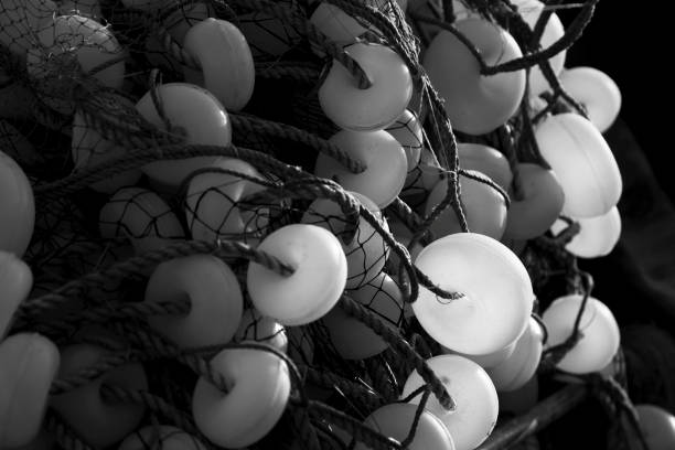 Mass of Fishing Net