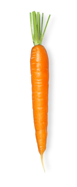 Zanahoria única sin Leafs photo