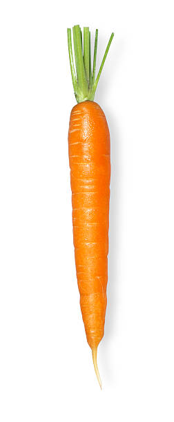 carota singola senza leafs - carrot foto e immagini stock