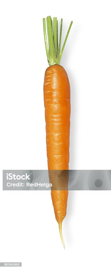 Carrot single without Leafs "Carrot single without Leafs. The file includes a excellent clipping path, so it's easy to work with these professionally retouched high quality image. Thank you for checking it out!" Carrot Stock Photo