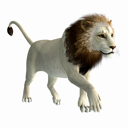 The American lion lived as a megafauna predator during the Pleistocene Period of North America.