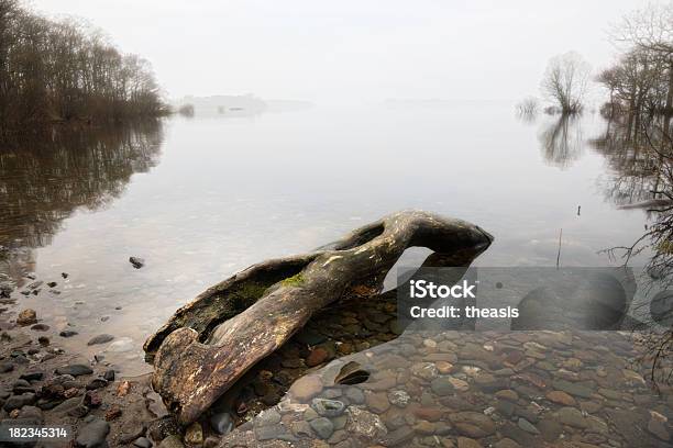 Misty Amanecer En Balmaha Foto de stock y más banco de imágenes de Agua - Agua, Aire libre, Arbolado