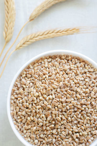 istock Wheat groats in a white bowl with three ears of wheat on a light background. Rustic style. Concept of healthy food. Vertical orientation. Top view 1823474385