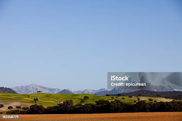 시골길 스페인 있는 안달루시아 지역 0명에 대한 스톡 사진 및 기타 이미지 - 0명, 고독-개념, 나무