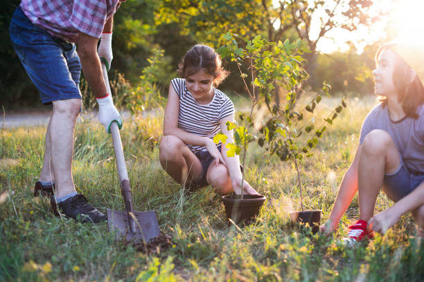 istock Senior man and two children digging a hole for planting a tree in a park 1823495685