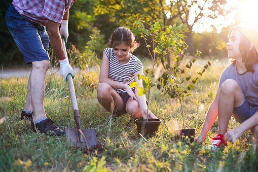 Happy grandfather and his two grandchildren  digging a hole for planting a tree in a park.