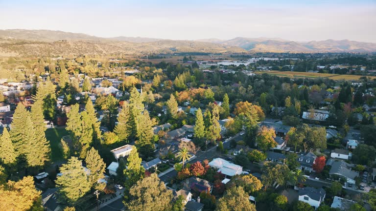 Captivating Napa Valley's Breathtaking Landscape