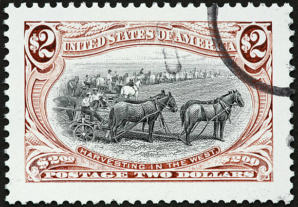 istock horse powered wheat harvesters 182352301