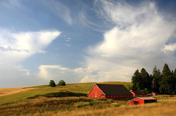 istock Red Barns on the Prairie 182352864