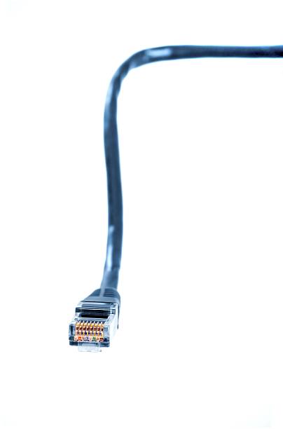 blu lan cavi con spina rj45 isolato - network connection plug rj45 cable bandwidth foto e immagini stock