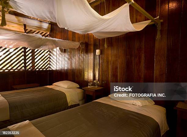 Hotel Room In Amazon Stock Photo - Download Image Now - Amazon Rainforest, Amazon Region, Architectural Feature