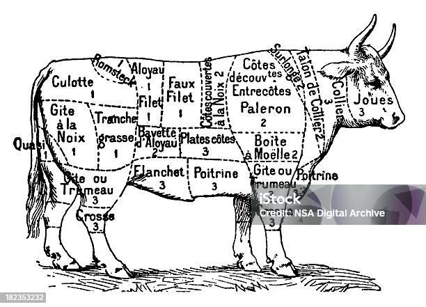 Coupes De Viande De Bœuf Isolé Sur Blanc Vecteurs libres de droits et plus d'images vectorielles de Couper - Couper, Viande de boeuf, Vache